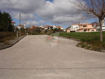 Terreno para Venda em Cernache do Bonjardim, Nesperal e Palhais