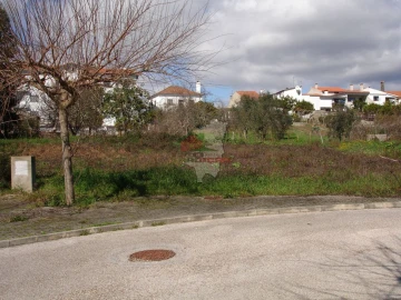 Terreno para Venda em Cernache do Bonjardim, Nesperal e Palhais