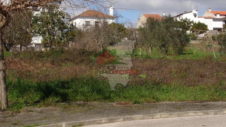 Terreno para Venda em Cernache do Bonjardim, Nesperal e Palhais