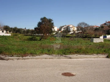 Terreno para Venda em Cernache do Bonjardim, Nesperal e Palhais