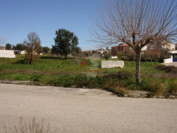 Terreno para Venda em Cernache do Bonjardim, Nesperal e Palhais