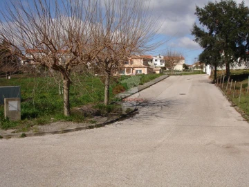 Terreno para Venda em Cernache do Bonjardim, Nesperal e Palhais