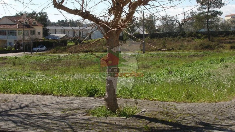Terreno para Venda em Cernache do Bonjardim, Nesperal e Palhais