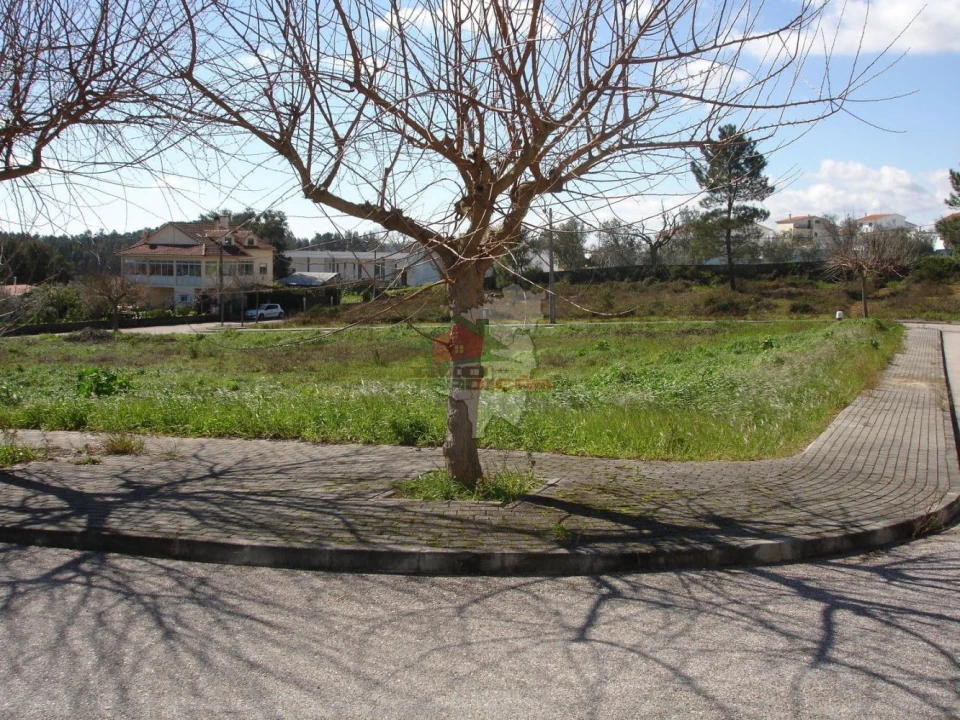 Terreno para Venda em Cernache do Bonjardim, Nesperal e Palhais Foto 1