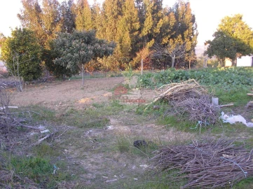 Terreno para Venda em Proença-A-Nova e Peral