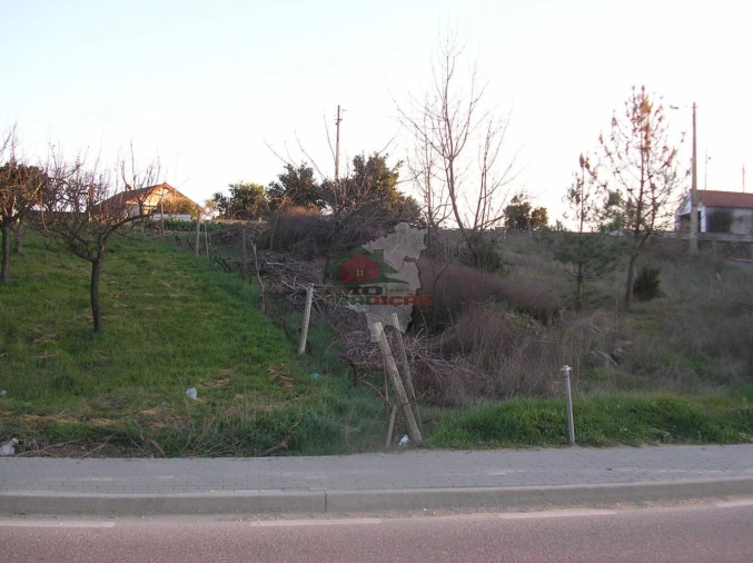 Terreno para Venda em Proença-A-Nova e Peral Foto 2