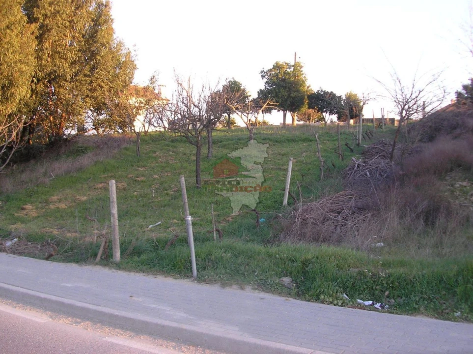 Terreno para Venda em Proença-A-Nova e Peral Foto 1