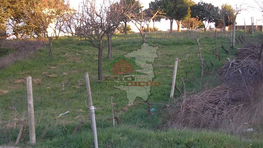 Terreno para Venda em Proença-A-Nova e Peral