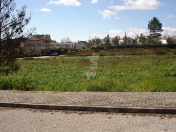 Terreno para Venda em Cernache do Bonjardim, Nesperal e Palhais
