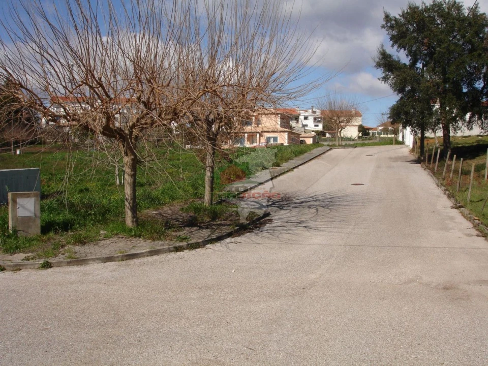 Terreno para Venda em Cernache do Bonjardim, Nesperal e Palhais Foto 2