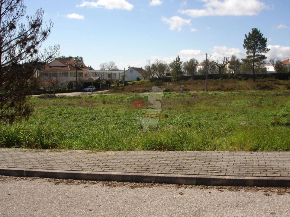 Terreno para Venda em Cernache do Bonjardim, Nesperal e Palhais Foto 1