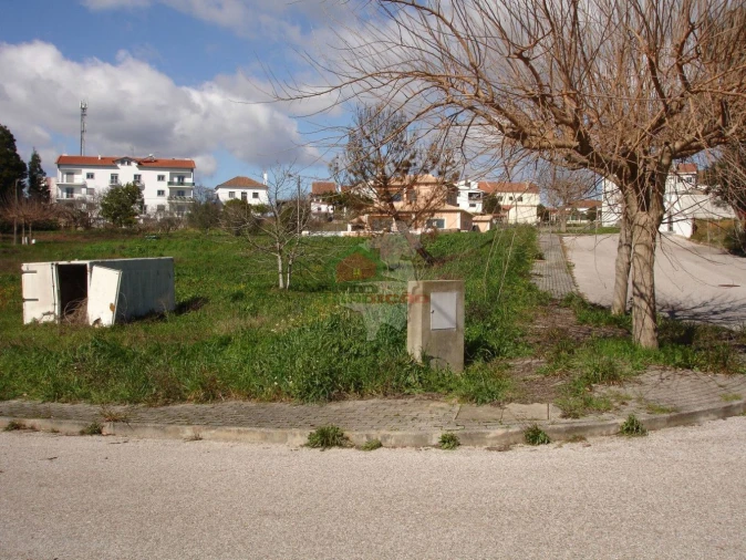 Terreno para Venda em Cernache do Bonjardim, Nesperal e Palhais Foto 3