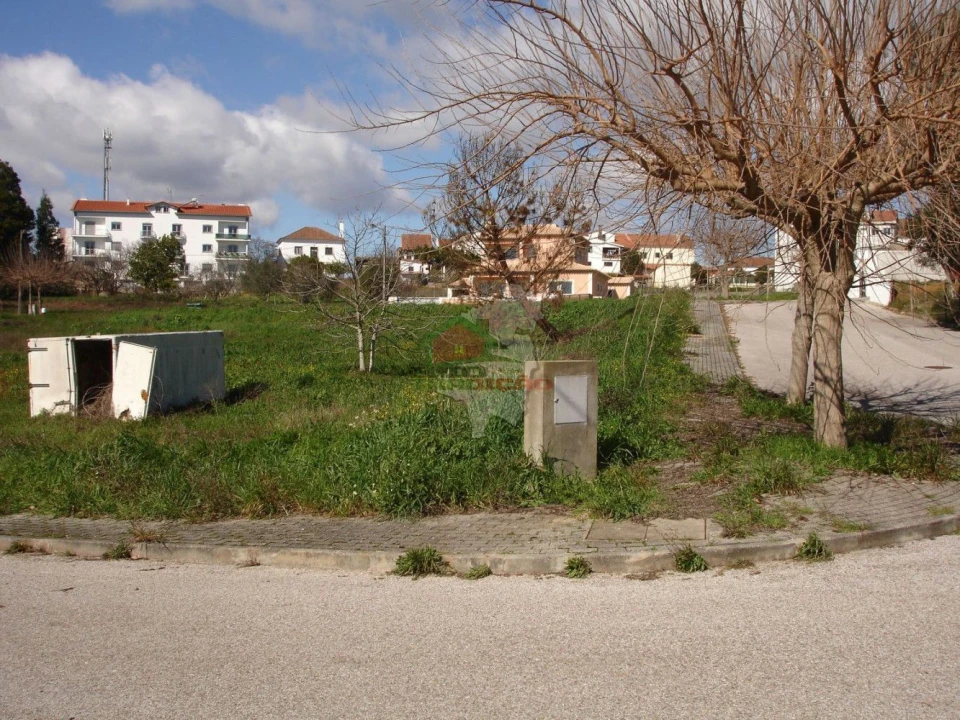 Terreno para Venda em Cernache do Bonjardim, Nesperal e Palhais Foto 3