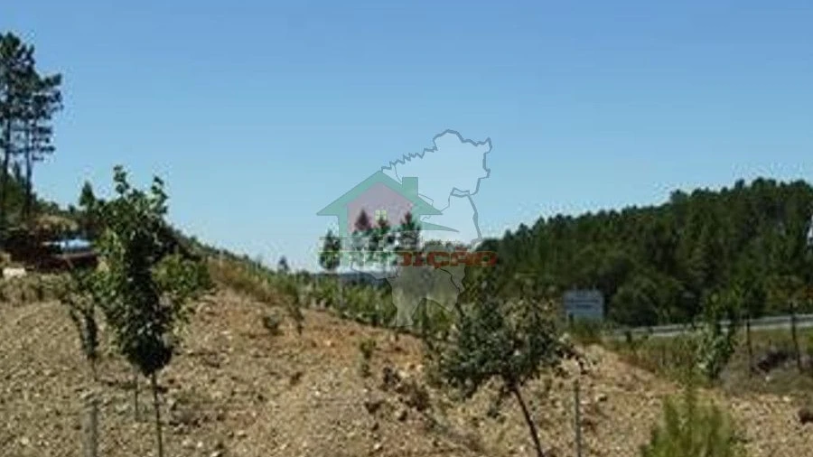 Terreno para Venda em Sertã