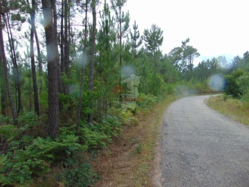 Terreno para Venda em Sertã