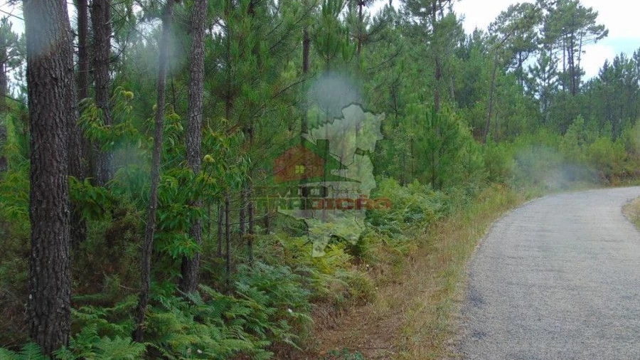 Terreno para Venda em Sertã