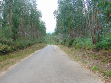 Terreno para Venda em Sertã