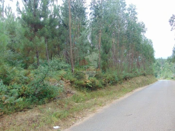 Terreno para Venda em Sertã