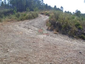 Terreno para Venda em Sertã