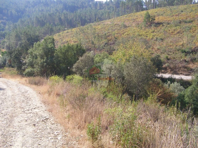 Terreno para Venda em Sertã Foto 3