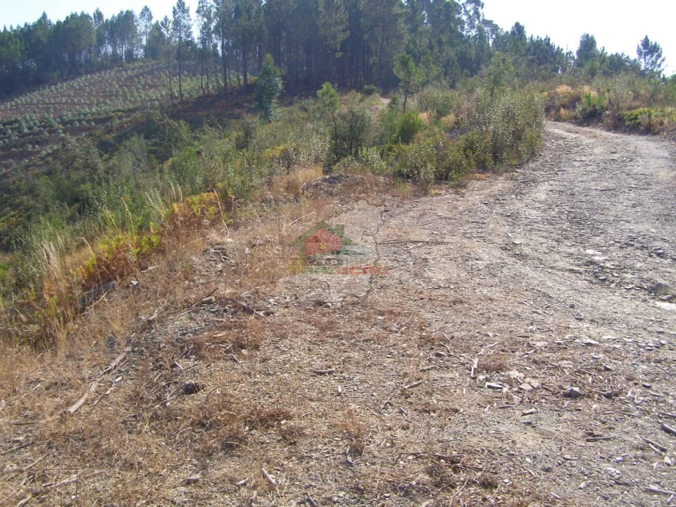 Terreno para Venda em Sertã Foto 7