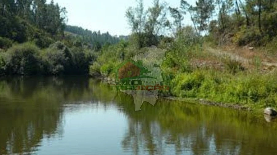 Terreno para Venda em Sertã