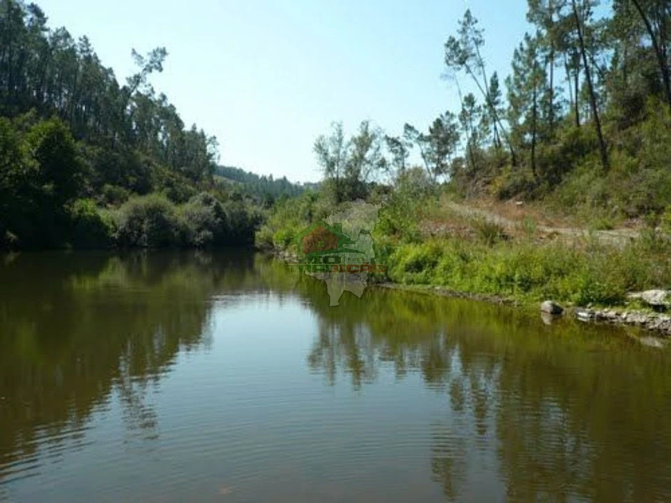 Terreno para Venda em Sertã Foto 1