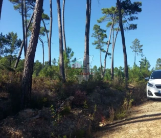 Terreno para Venda em São João do Peso