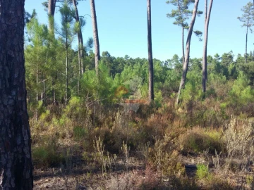 Terreno para Venda em São João do Peso