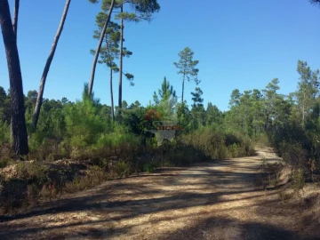 Terreno para Venda em São João do Peso