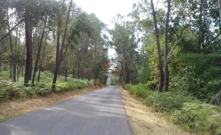 Terreno para Venda em Sertã