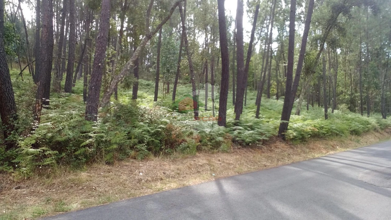 Terreno para Venda em Sertã Foto 1