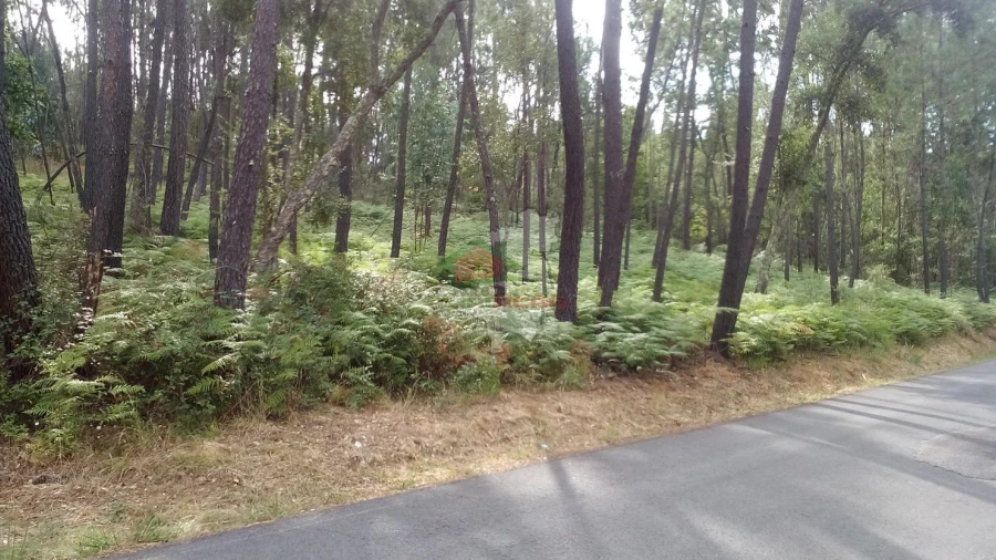 Terreno para Venda em Sertã