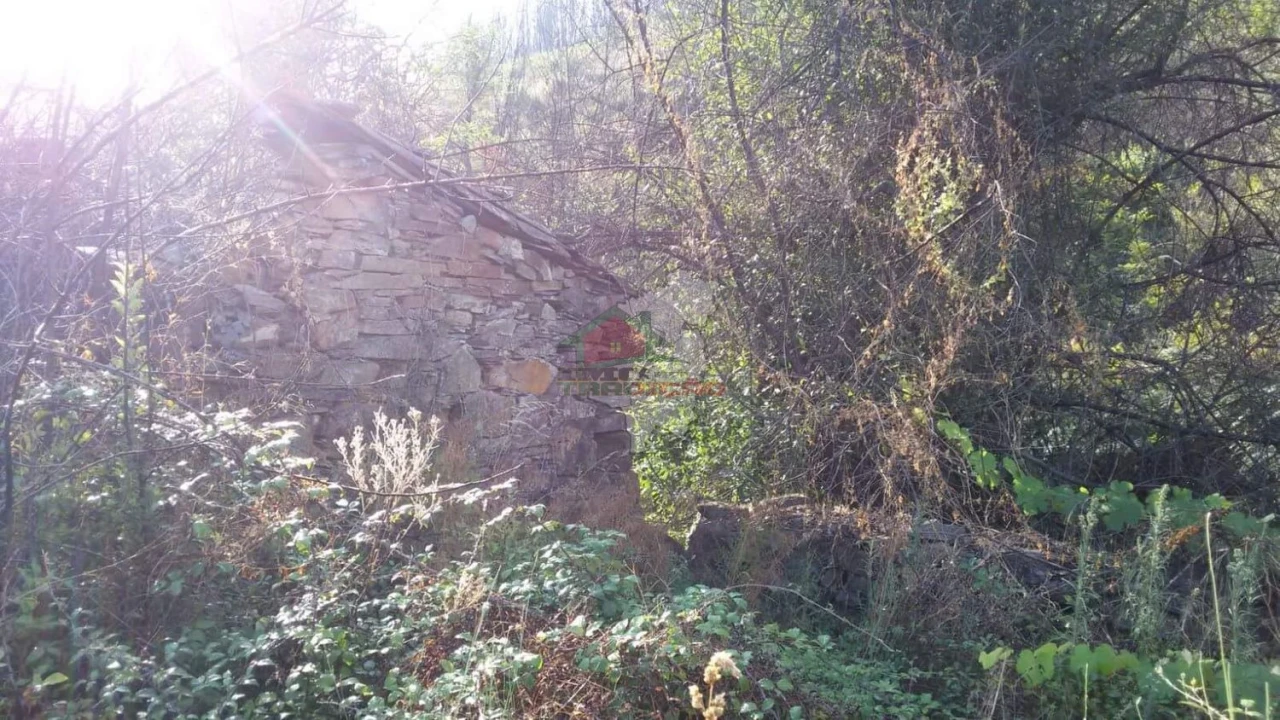 Terreno para Venda em Troviscal Foto 10
