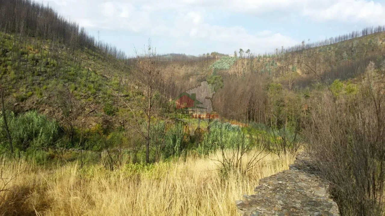 Terreno para Venda em Troviscal Foto 21