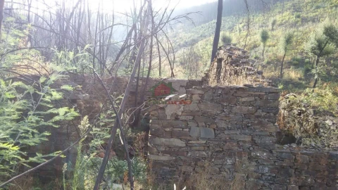 Terreno para Venda em Troviscal