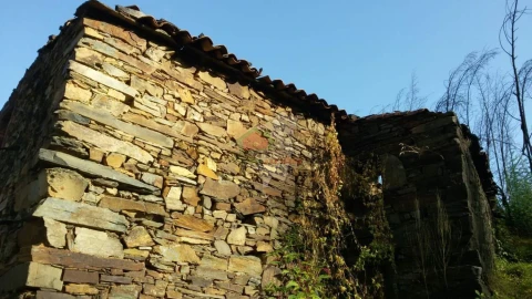 Terreno para Venda em Troviscal