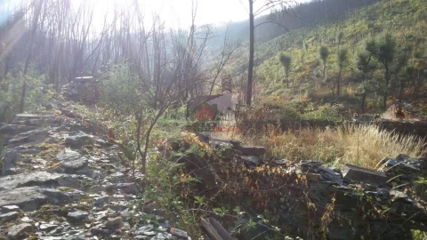 Terreno para Venda em Troviscal