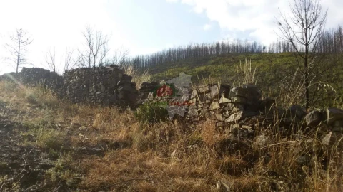 Terreno para Venda em Troviscal