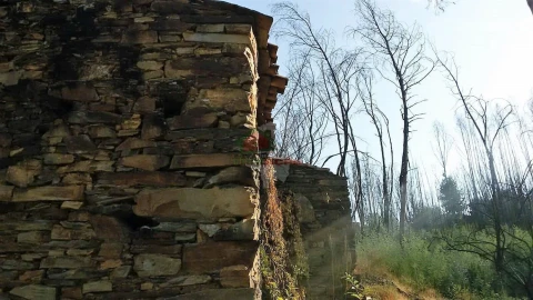 Terreno para Venda em Troviscal