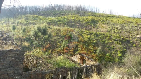 Terreno para Venda em Troviscal
