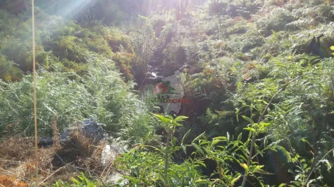 Terreno para Venda em Troviscal