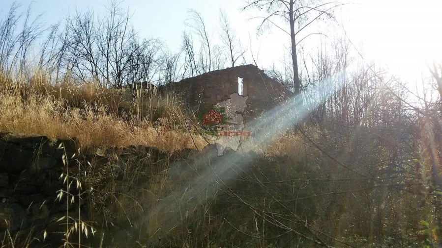 Terreno para Venda em Troviscal Foto 7