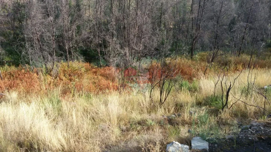 Terreno para Venda em Troviscal Foto 16