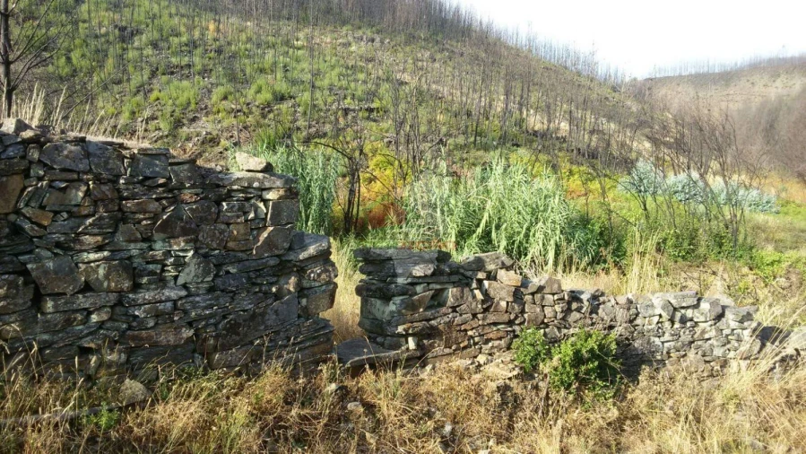 Terreno para Venda em Troviscal Foto 8