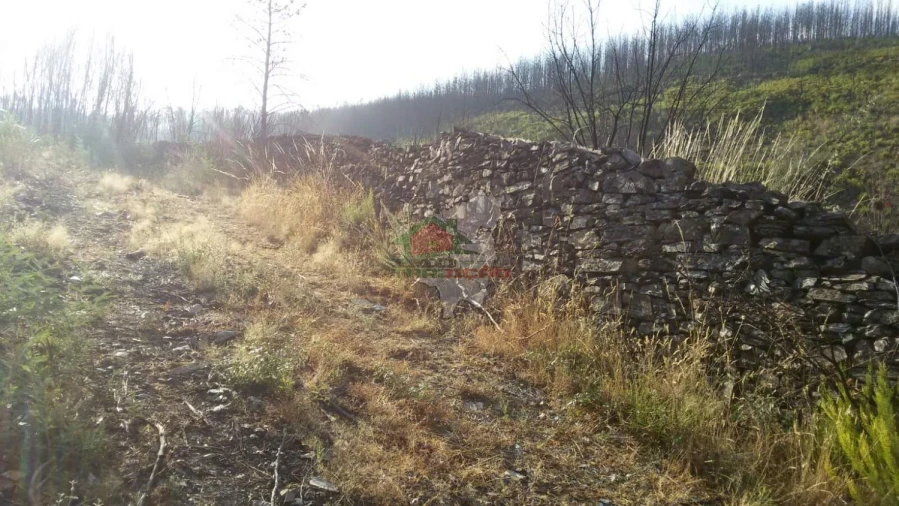 Terreno para Venda em Troviscal Foto 9