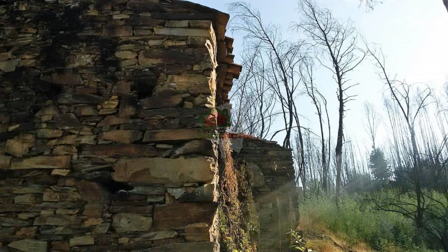 Terreno para Venda em Troviscal Foto 2