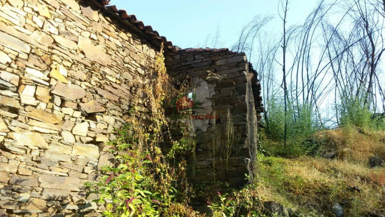 Terreno para Venda em Troviscal Foto 1