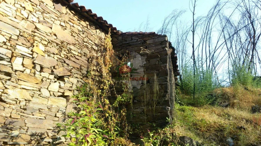 Terreno para Venda em Troviscal