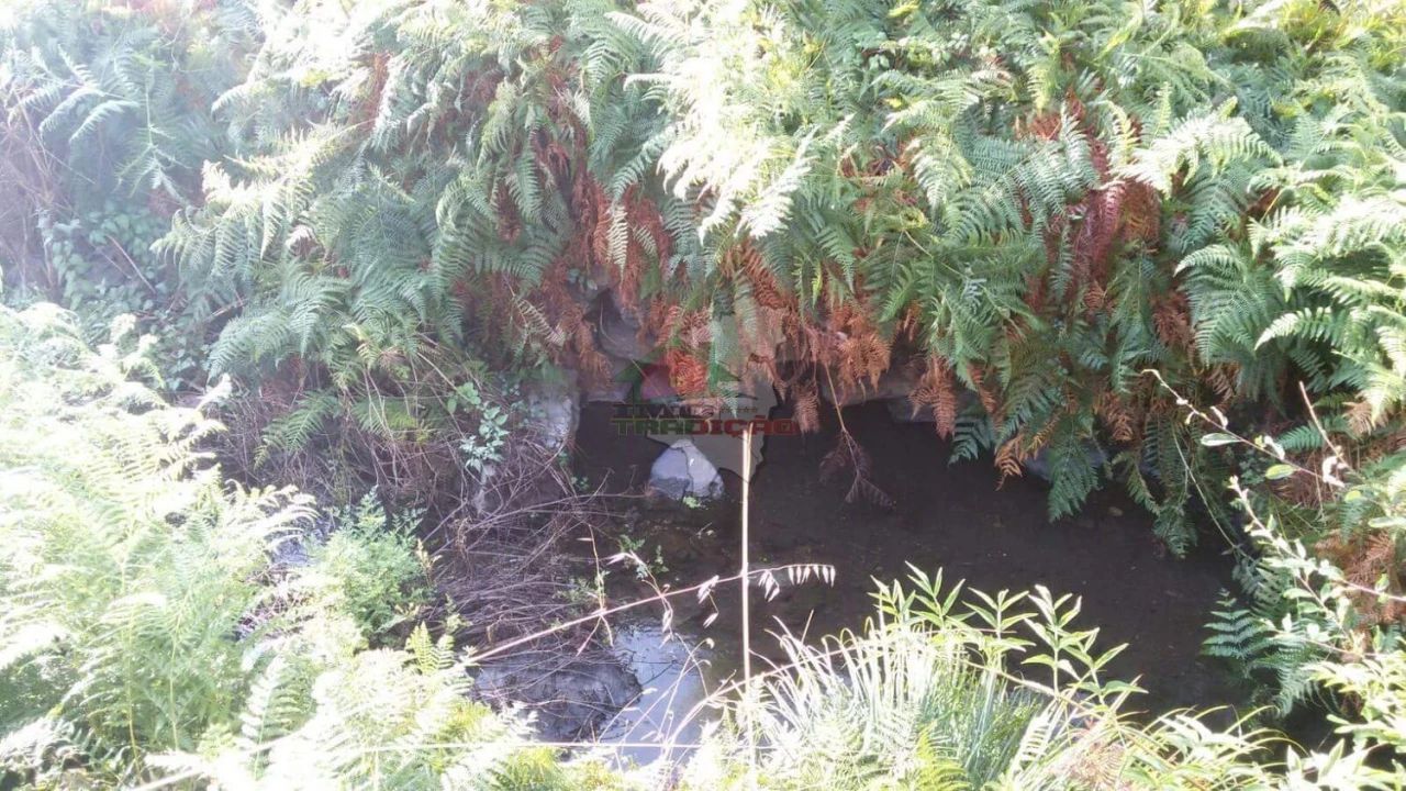 Terreno para Venda em Troviscal Foto 15